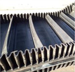 Bande transporteuse latérale